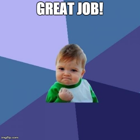 Success Kid Meme | GREAT JOB! | image tagged in memes,success kid | made w/ Imgflip meme maker