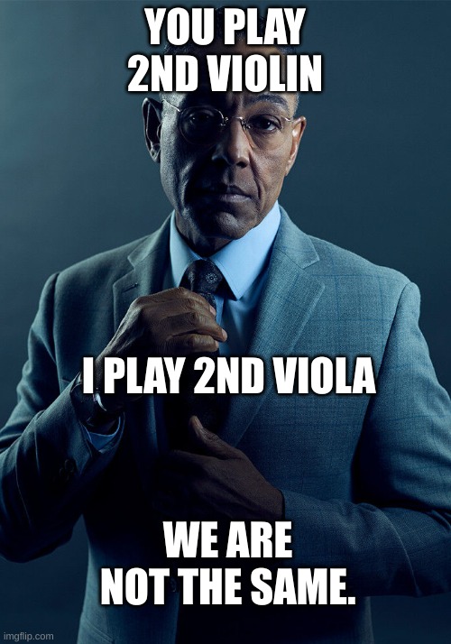 Our Orchestra director let us have a 2nd viola part! | YOU PLAY 2ND VIOLIN; I PLAY 2ND VIOLA; WE ARE NOT THE SAME. | image tagged in gus fring we are not the same,violin,viola | made w/ Imgflip meme maker