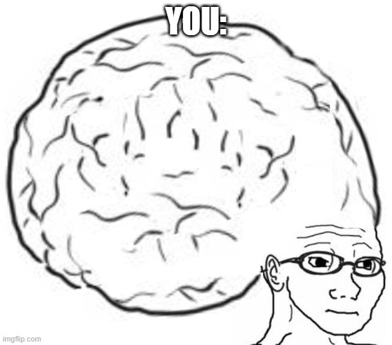 Big Brain | YOU: | image tagged in big brain | made w/ Imgflip meme maker