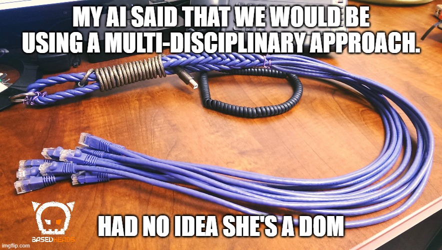 kinky AI | MY AI SAID THAT WE WOULD BE USING A MULTI-DISCIPLINARY APPROACH. HAD NO IDEA SHE'S A DOM | image tagged in computers,artificial intelligence | made w/ Imgflip meme maker