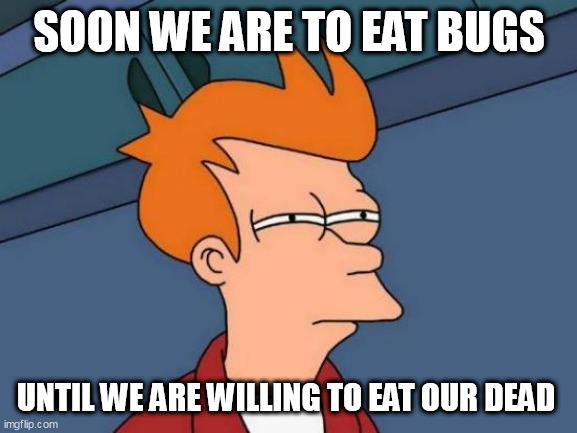Futurama Fry Meme | SOON WE ARE TO EAT BUGS; UNTIL WE ARE WILLING TO EAT OUR DEAD | image tagged in memes,futurama fry | made w/ Imgflip meme maker