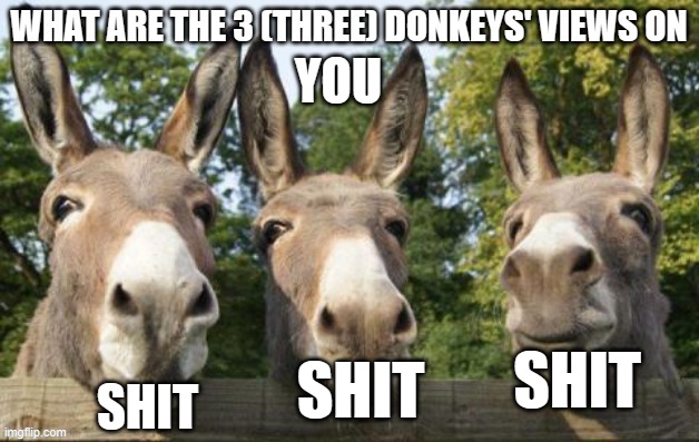Used in comment | YOU SHIT SHIT SHIT | image tagged in what are the 3 three donkeys' views on x | made w/ Imgflip meme maker