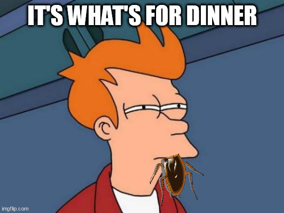 Futurama Fry | IT'S WHAT'S FOR DINNER | image tagged in memes,futurama fry | made w/ Imgflip meme maker