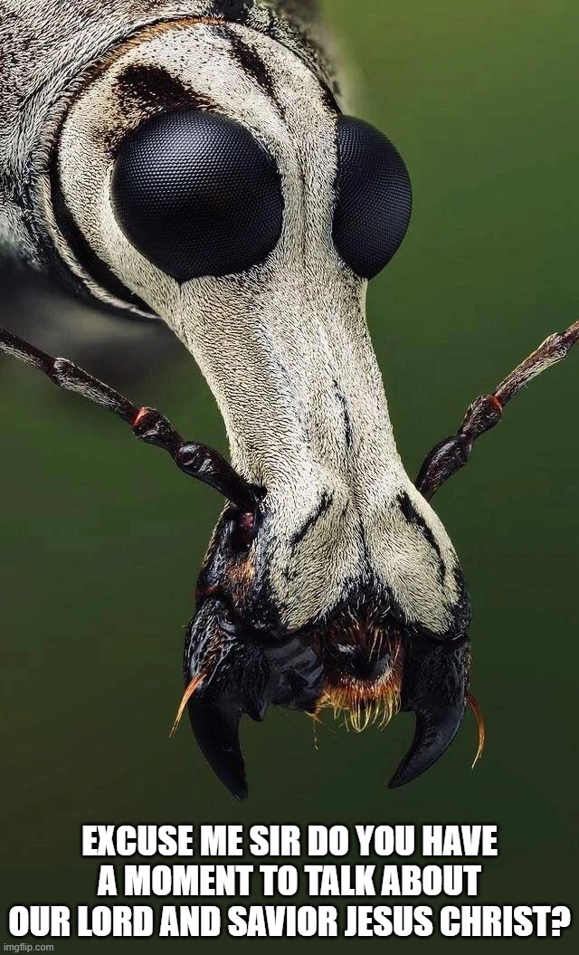 EXCUSE ME SIR DO YOU HAVE A MOMENT TO TALK ABOUT OUR LORD AND SAVIOR JESUS CHRIST? | made w/ Imgflip meme maker