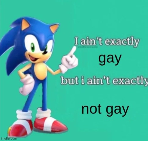 i aint exactly gay | image tagged in i aint exactly gay | made w/ Imgflip meme maker