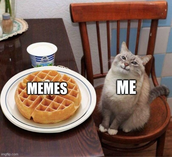 Good Ol' Memes | ME; MEMES | image tagged in pancake cat | made w/ Imgflip meme maker