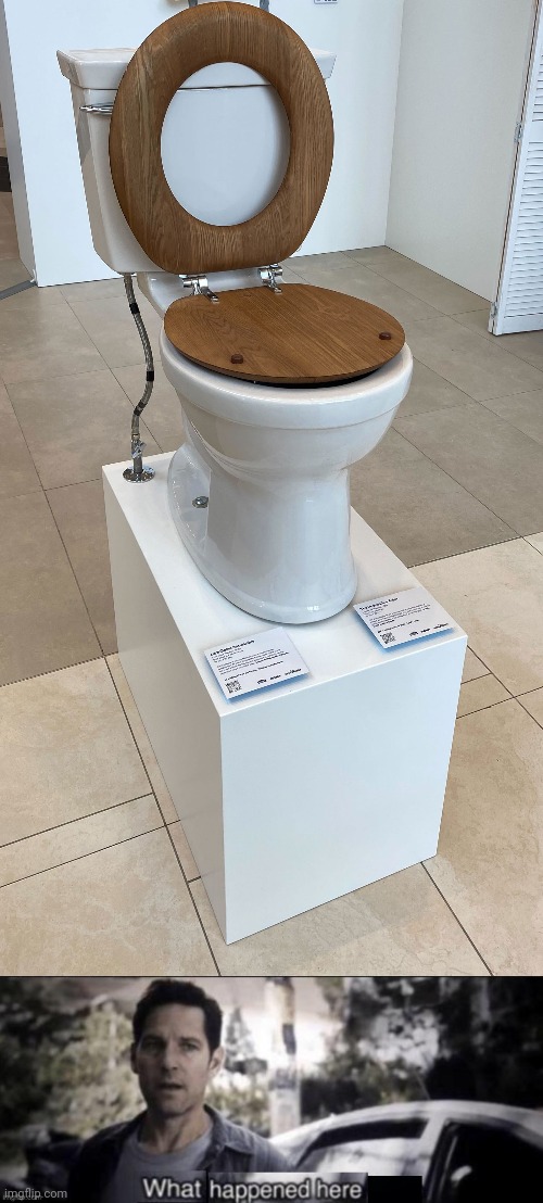 Toilet fail | image tagged in what happened here,you had one job,toilet,toilets,memes,fails | made w/ Imgflip meme maker
