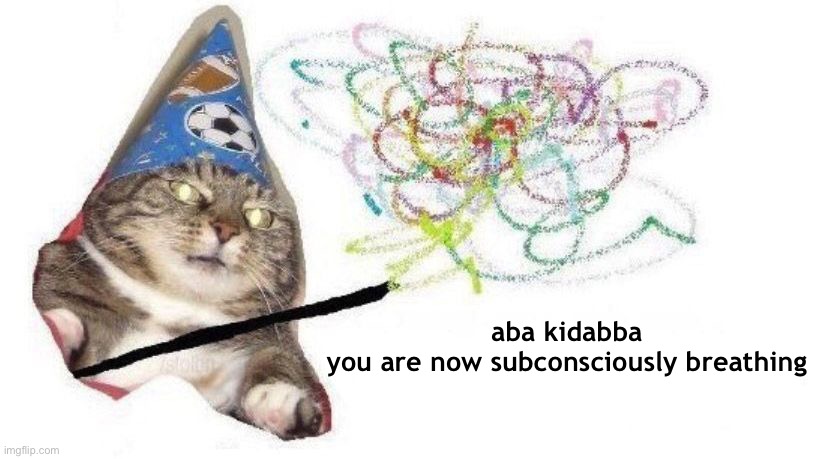 cat wizard | aba kidabba
you are now subconsciously breathing | image tagged in cat wizard | made w/ Imgflip meme maker