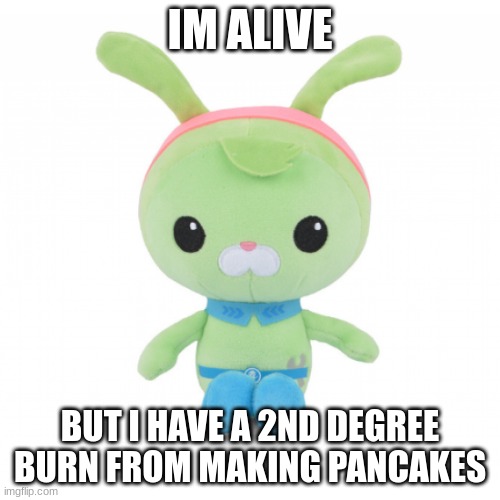 da gorl | IM ALIVE; BUT I HAVE A 2ND DEGREE BURN FROM MAKING PANCAKES | image tagged in da gorl | made w/ Imgflip meme maker