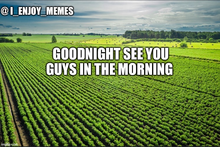 I_enjoy_memes_template | GOODNIGHT SEE YOU GUYS IN THE MORNING | image tagged in i_enjoy_memes_template | made w/ Imgflip meme maker