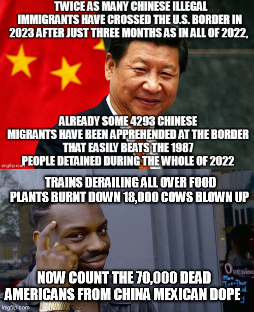 TRAINS DERAILING ALL OVER FOOD PLANTS BURNT DOWN 18,000 COWS BLOWN UP; NOW COUNT THE 70,000 DEAD AMERICANS FROM CHINA MEXICAN DOPE | image tagged in chinx,memes,roll safe think about it | made w/ Imgflip meme maker