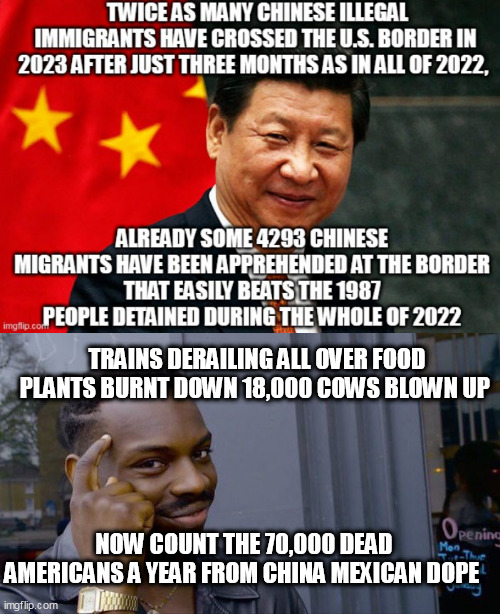 TRAINS DERAILING ALL OVER FOOD PLANTS BURNT DOWN 18,000 COWS BLOWN UP; NOW COUNT THE 70,000 DEAD AMERICANS A YEAR FROM CHINA MEXICAN DOPE | image tagged in chinx,memes,roll safe think about it | made w/ Imgflip meme maker