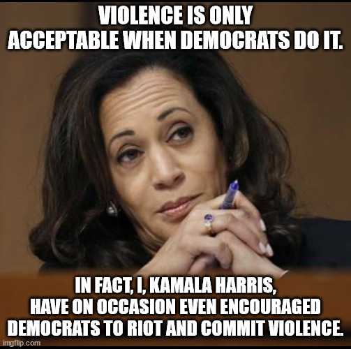 Kamala Harris  | VIOLENCE IS ONLY ACCEPTABLE WHEN DEMOCRATS DO IT. IN FACT, I, KAMALA HARRIS, HAVE ON OCCASION EVEN ENCOURAGED DEMOCRATS TO RIOT AND COMMIT V | image tagged in kamala harris | made w/ Imgflip meme maker