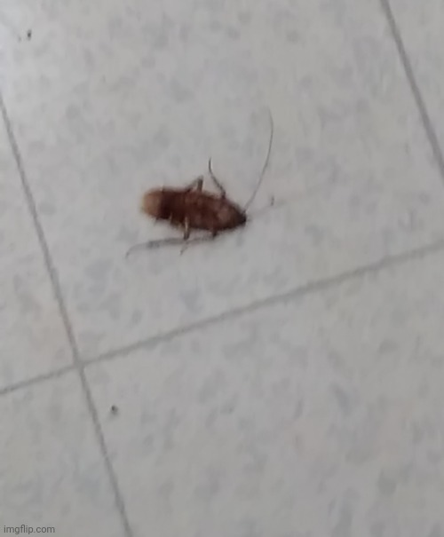 mf giant was crawling up my leg | made w/ Imgflip meme maker