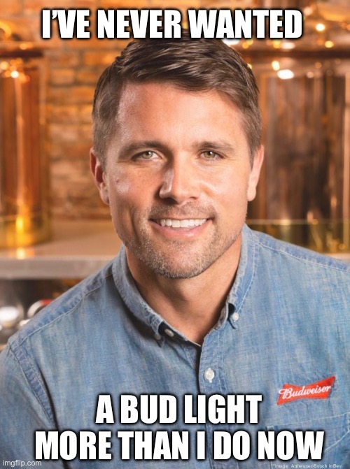 Want me now? | I’VE NEVER WANTED; A BUD LIGHT MORE THAN I DO NOW | image tagged in bud light,beer,ceo | made w/ Imgflip meme maker