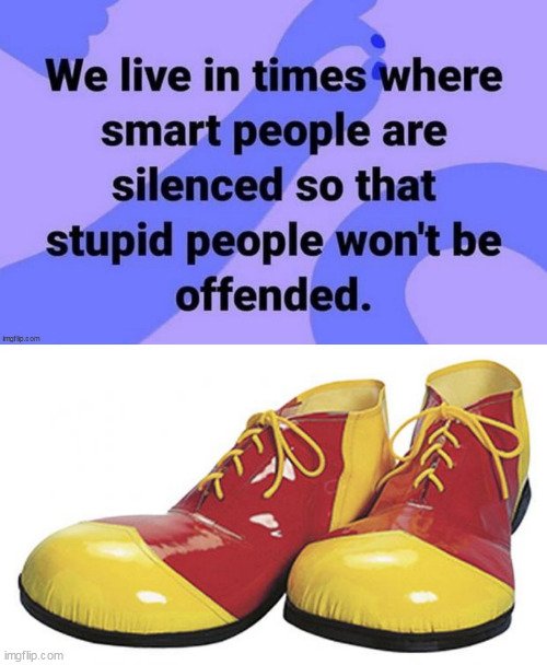 image tagged in clown world,clown shoes | made w/ Imgflip meme maker