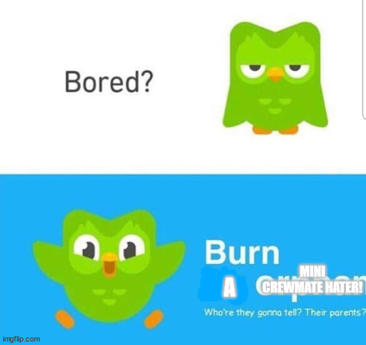 Bored? Burn an Orphan! | MINI CREWMATE HATER! A | image tagged in bored burn an orphan | made w/ Imgflip meme maker