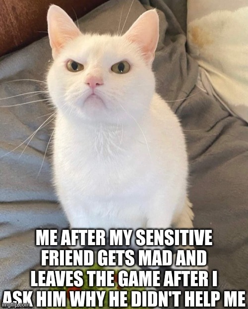 ):< | ME AFTER MY SENSITIVE FRIEND GETS MAD AND LEAVES THE GAME AFTER I ASK HIM WHY HE DIDN'T HELP ME | image tagged in mad kitty | made w/ Imgflip meme maker