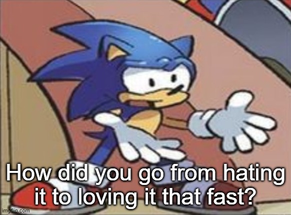 Sonic | How did you go from hating it to loving it that fast? | image tagged in sonic | made w/ Imgflip meme maker