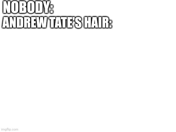 Andrew Tate is hair'nt | NOBODY:; ANDREW TATE'S HAIR: | image tagged in memes,andrew tate,hair | made w/ Imgflip meme maker