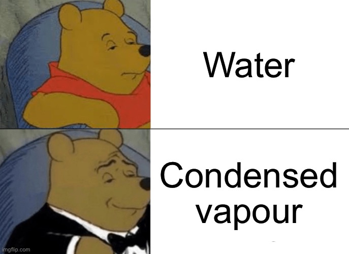 Tuxedo Winnie The Pooh | Water; Condensed vapour | image tagged in memes,tuxedo winnie the pooh | made w/ Imgflip meme maker