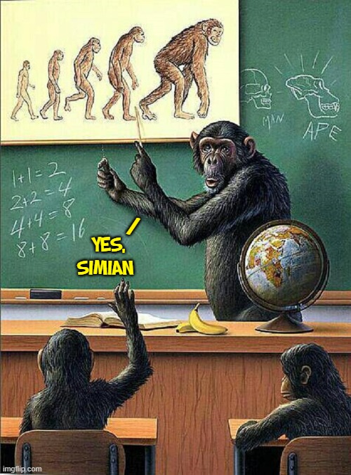 Evolution finally getting completed | /; YES,
SIMIAN | image tagged in vince vance,comics/cartoons,monkeys,apes,chimpanzee,classroom | made w/ Imgflip meme maker