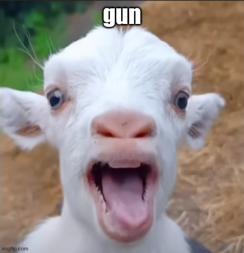goat | gun | image tagged in goat | made w/ Imgflip meme maker