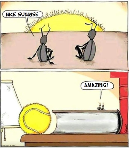 Perspectives | image tagged in vince vance,memes,roaches,sunrise,comics/cartoons,tennis ball | made w/ Imgflip meme maker