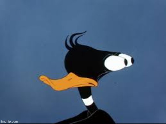 Daffy Duck | image tagged in daffy duck | made w/ Imgflip meme maker