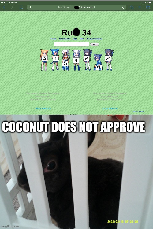 Coconut | COCONUT DOES NOT APPROVE | image tagged in coconut | made w/ Imgflip meme maker