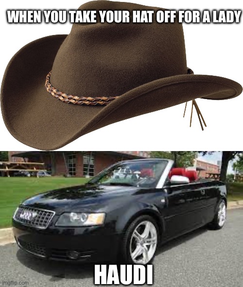 Howdy, from Audi | WHEN YOU TAKE YOUR HAT OFF FOR A LADY; HAUDI | image tagged in cowboy hat 2,haudi,audi,hat,cowboy | made w/ Imgflip meme maker