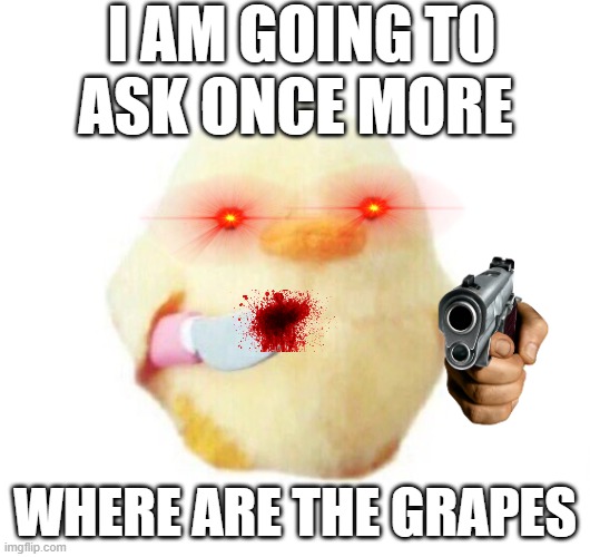 GIVE ME THE GRAPES | I AM GOING TO ASK ONCE MORE; WHERE ARE THE GRAPES | image tagged in duck with knife | made w/ Imgflip meme maker