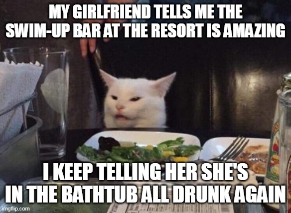 Salad cat | MY GIRLFRIEND TELLS ME THE SWIM-UP BAR AT THE RESORT IS AMAZING; I KEEP TELLING HER SHE'S IN THE BATHTUB ALL DRUNK AGAIN | image tagged in salad cat,meme,memes,funny | made w/ Imgflip meme maker