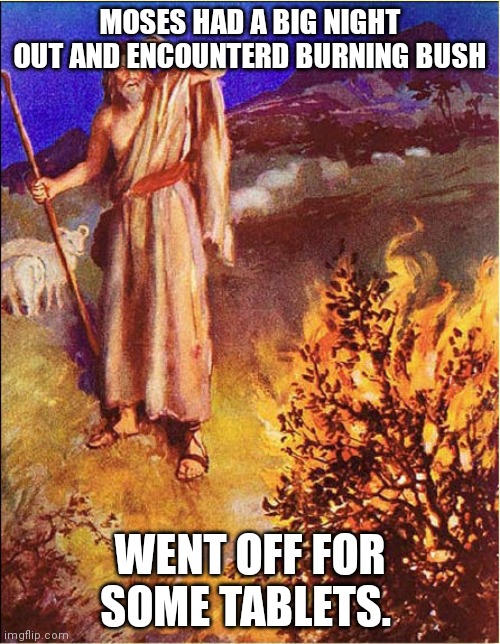 Moses | MOSES HAD A BIG NIGHT OUT AND ENCOUNTERD BURNING BUSH; WENT OFF FOR SOME TABLETS. | image tagged in funny memes | made w/ Imgflip meme maker