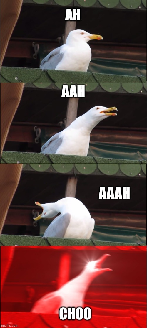 Inhaling Seagull Meme | AH; AAH; AAAH; CHOO | image tagged in memes,inhaling seagull | made w/ Imgflip meme maker