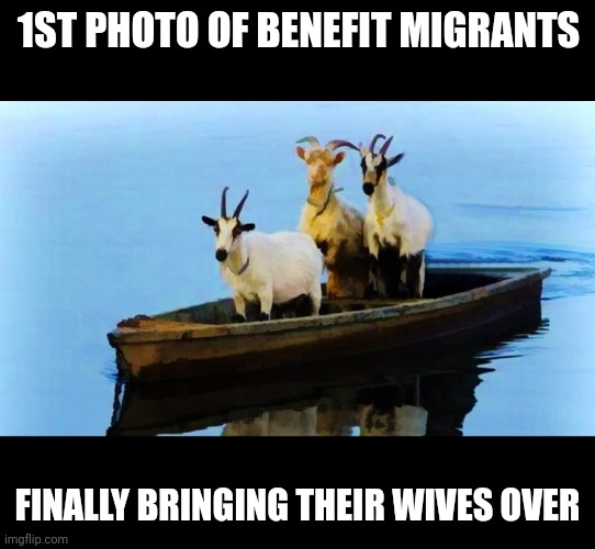 1ST PHOTO OF BENEFIT MIGRANTS; FINALLY BRINGING THEIR WIVES OVER | made w/ Imgflip meme maker