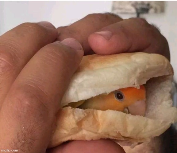 chicken sandiwch | made w/ Imgflip meme maker