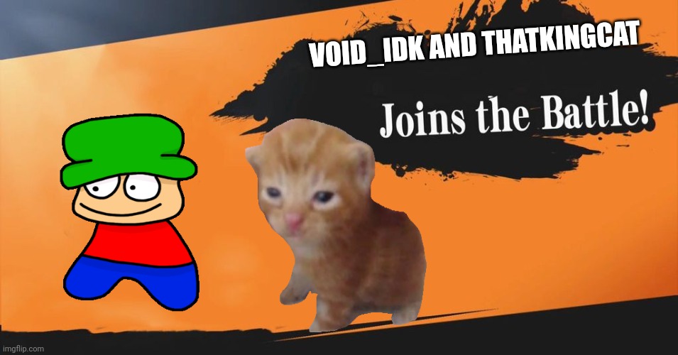 lol bff's in thebattle | VOID_IDK AND THATKINGCAT | image tagged in smash bros | made w/ Imgflip meme maker