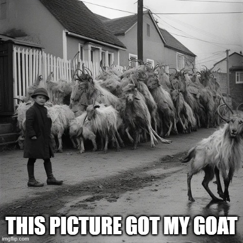 What the Goat? | THIS PICTURE GOT MY GOAT | image tagged in unsee juice | made w/ Imgflip meme maker