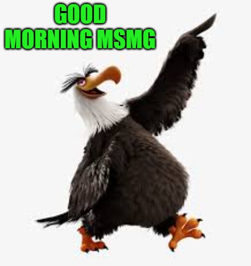 good morning! | GOOD MORNING MSMG | image tagged in angry birds eagle | made w/ Imgflip meme maker