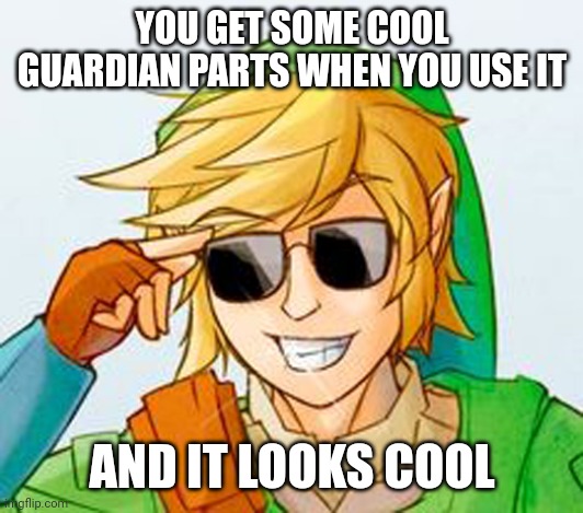 Troll Link | YOU GET SOME COOL GUARDIAN PARTS WHEN YOU USE IT AND IT LOOKS COOL | image tagged in troll link | made w/ Imgflip meme maker