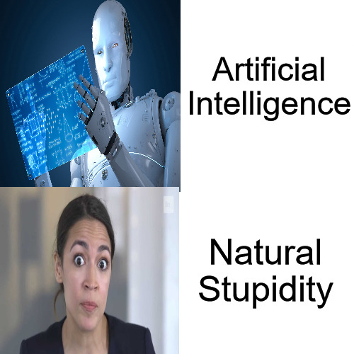 Know the Difference | Artificial Intelligence; Natural Stupidity | image tagged in artificial intelligence,crazy aoc | made w/ Imgflip meme maker