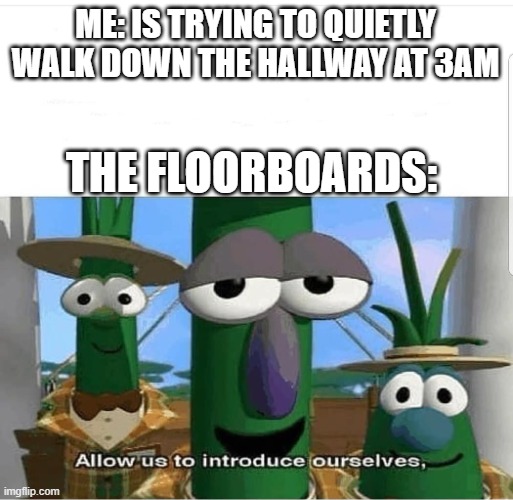 this always happens to me | ME: IS TRYING TO QUIETLY WALK DOWN THE HALLWAY AT 3AM; THE FLOORBOARDS: | image tagged in allow us to introduce ourselves | made w/ Imgflip meme maker