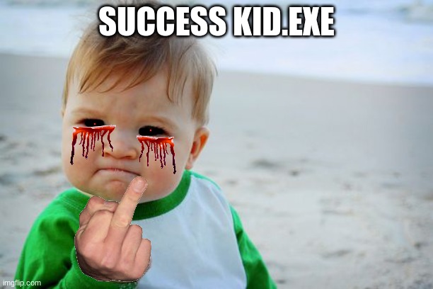 success.exe | SUCCESS KID.EXE | image tagged in memes,success kid original | made w/ Imgflip meme maker
