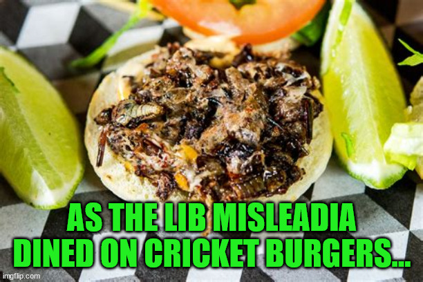 AS THE LIB MISLEADIA DINED ON CRICKET BURGERS... | made w/ Imgflip meme maker