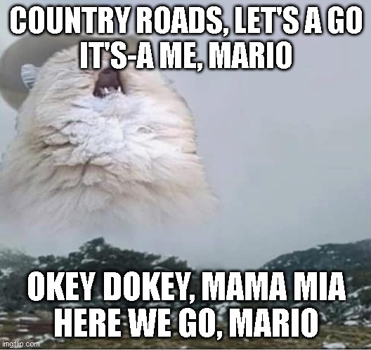 Country Roads Cat | COUNTRY ROADS, LET'S A GO
IT'S-A ME, MARIO OKEY DOKEY, MAMA MIA
HERE WE GO, MARIO | image tagged in country roads cat | made w/ Imgflip meme maker