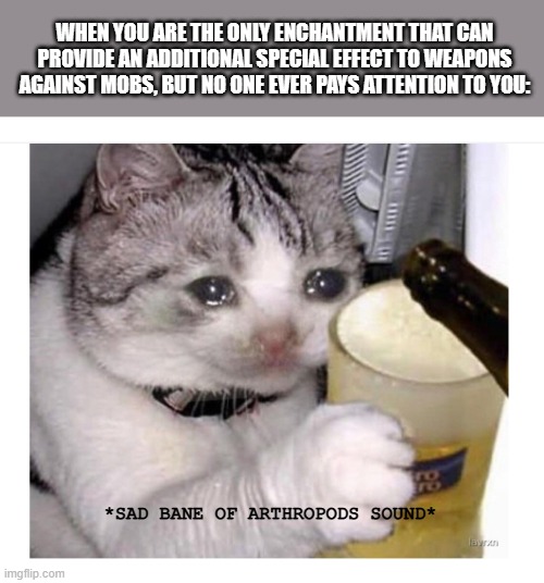 Crying Cat Drinking Beer | WHEN YOU ARE THE ONLY ENCHANTMENT THAT CAN PROVIDE AN ADDITIONAL SPECIAL EFFECT TO WEAPONS AGAINST MOBS, BUT NO ONE EVER PAYS ATTENTION TO YOU:; *SAD BANE OF ARTHROPODS SOUND* | image tagged in crying cat drinking beer | made w/ Imgflip meme maker