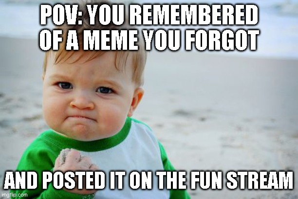 that rarely happends but its true, trust me | POV: YOU REMEMBERED OF A MEME YOU FORGOT; AND POSTED IT ON THE FUN STREAM | image tagged in memes,success kid original | made w/ Imgflip meme maker