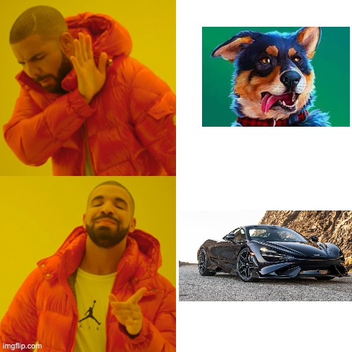 WOULD YOU RATHER: | image tagged in memes,drake hotline bling,would you rather,funny,dog,mclaren | made w/ Imgflip meme maker