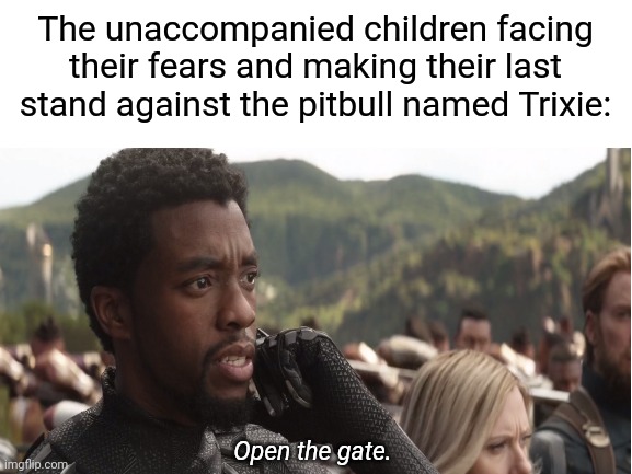 WAKANDA FOREVER | The unaccompanied children facing their fears and making their last stand against the pitbull named Trixie:; Open the gate. | image tagged in wakanda forever,black panther,pitbulls,toddler,avengers infinity war,marvel | made w/ Imgflip meme maker